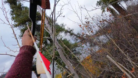 Alone S11E07 1080p WEB h264-EDITH EZTV