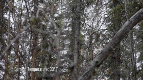 Alone S11E07 One Pike at a Time 1080p AMZN WEB-DL DDP2 0 H 264-FLUX EZTV