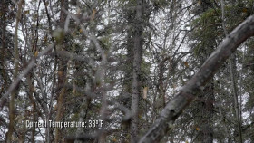 Alone S11E07 One Pike at a Time 720p AMZN WEB-DL DDP2 0 H 264-FLUX EZTV