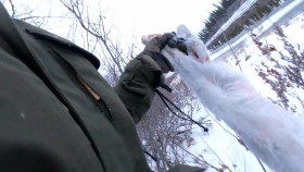 Alone S11E09 1080p WEB h264-EDITH EZTV