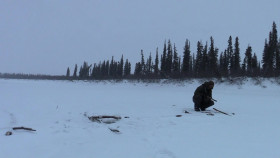 Alone S11E12 Into the Dark 1080p AMZN WEB-DL DDP2 0 H 264-FLUX EZTV