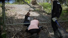 Amanda to the Rescue S01E06 Mission to Puerto Rico WEBRip x264-CAFFEiNE EZTV