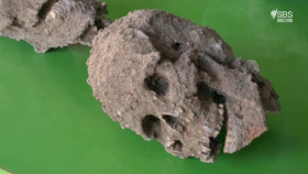 Amazon The Lost World S01E02 XviD-AFG EZTV