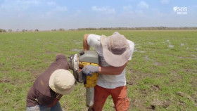 Amazon The Lost World S01E03 XviD-AFG EZTV