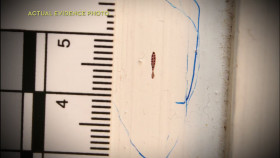 American Detective With Lt Joe Kenda S04E08 1080p HEVC x265-MeGusta EZTV