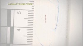 American Detective With Lt Joe Kenda S04E08 480p x264-RUBiK EZTV