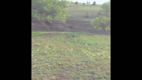 American Monster S12E09 1080p WEB h264-EDITH EZTV