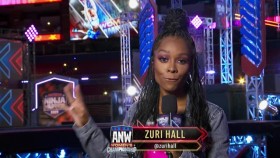 American Ninja Warrior S12E09 Womens Championship XviD-AFG EZTV