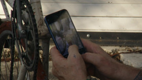 American Pickers S24E14 720p WEB h264-EDITH EZTV