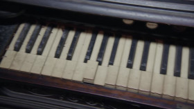 American Pickers S26E14 720p HEVC x265-MeGusta EZTV