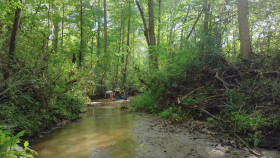 Americas Backyard Gold S01E06 Carolina Rare Gold 1080p AMZN WEB-DL DDP2 0 H 264-NTb EZTV