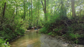 Americas Backyard Gold S01E06 Carolina Rare Gold 720p AMZN WEB-DL DDP2 0 H 264-NTb EZTV