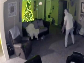 Americas Funniest Home Videos S34E09 480p x264-mSD EZTV