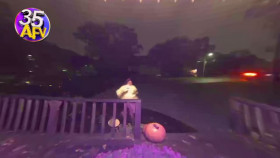 Americas Funniest Home Videos S35E04 720p HEVC x265-MeGusta EZTV