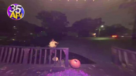 Americas Funniest Home Videos S35E04 XviD-AFG EZTV