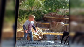 Americas Funniest Home Videos S35E05 720p HULU WEB-DL DDP5 1 H264-WhiteHat EZTV