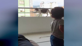 An Animal Saved My Life S01E01 1080p WEB H264-CBFM EZTV