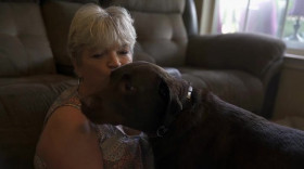 An Animal Saved My Life S01E06 WEB x264-PHOENiX EZTV