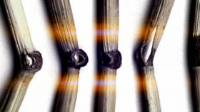 Ancient Aliens S20E18 1080p WEB h264-EDITH EZTV