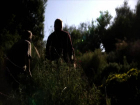 Ancient Aliens S20E19 480p x264-mSD EZTV