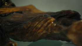 Ancient Bodies Secrets Revealed S01E01 XviD-AFG EZTV