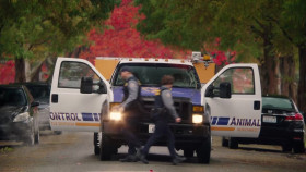 Animal Control S01E03 720p HEVC x265-MeGusta EZTV