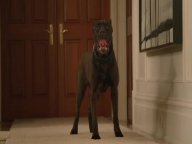 Animal Control S01E08 480p x264-mSD EZTV