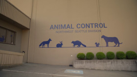 Animal Control S03E02 1080p x265-ELiTE EZTV