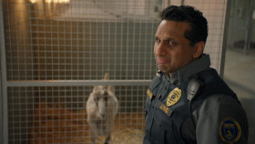 Animal Control S03E03 Goats Snakes and Dogs 1080p AMZN WEB-DL DDP5 1 H 264-FLUX EZTV