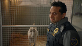 Animal Control S03E03 Goats Snakes and Dogs XviD-AFG EZTV