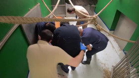 Animal Embassy S01E04 XviD-AFG EZTV