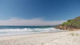 Animals Aboard With Dr Harry S01E02 XviD-AFG EZTV