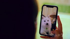 Animals Aboard With Dr Harry S01E04 1080p HEVC x265-MeGusta EZTV