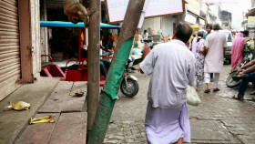 Animals Like Us 2024 S01E03 1080p WEB H264-CBFM EZTV