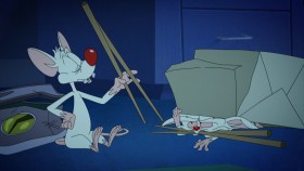 Animaniacs 2020 S01E13 1080p HEVC x265-MeGusta EZTV