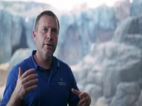 Arctic Vets S01E01 480p x264-mSD EZTV