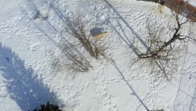 Arctic Vets S01E04 1080p WEBRip x264-BAE EZTV