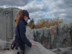 Arctic Vets S01E06 480p x264-mSD EZTV