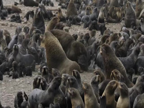 Asia 2024 S01E01 Beneath the Waves 480p x264-mSD EZTV