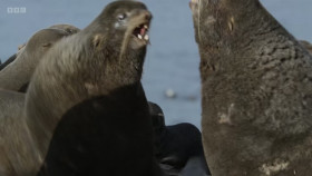 Asia 2024 S01E01 Beneath the Waves 720p HEVC x265-MeGusta EZTV