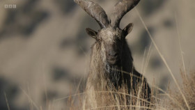 Asia 2024 S01E02 Above the Clouds 1080p HEVC x265-MeGusta EZTV