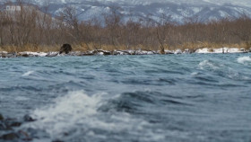 Asia 2024 S01E03 The Frozen North 1080p WEBRip x264-CBFM EZTV