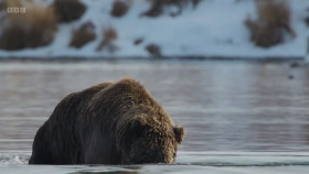 Asia 2024 S01E03 The Frozen North 720p HEVC x265-MeGusta EZTV