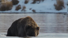 Asia 2024 S01E03 The Frozen North XviD-AFG EZTV