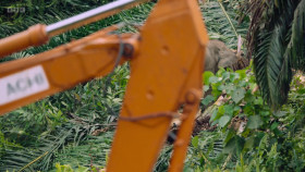 Asia 2024 S01E04 Tangled Worlds 1080p WEBRip x264-CBFM EZTV