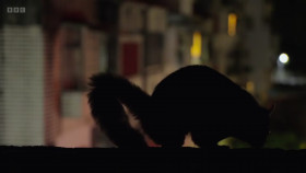 Asia 2024 S01E05 Crowded Continent 1080p HEVC x265-MeGusta EZTV