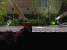 Asia 2024 S01E05 Crowded Continent 480p x264-mSD EZTV