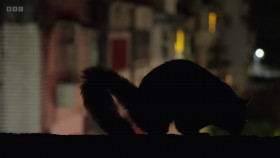 Asia 2024 S01E05 Crowded Continent 720p HEVC x265-MeGusta EZTV