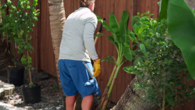 Ask This Old House S23E03 1080p HEVC x265-MeGusta EZTV