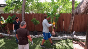 Ask This Old House S23E03 XviD-AFG EZTV